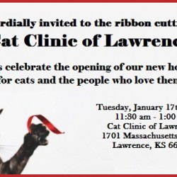 Ribbon Cutting Invite