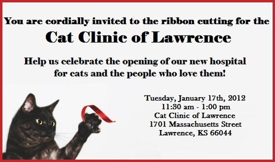 Ribbon Cutting Invite