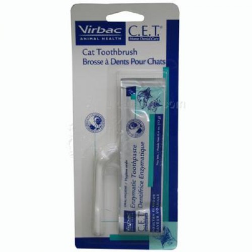 cat toothbrush