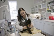 Cat_clinic_Odriscoll_t180