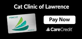 Pay Now - CareCredit